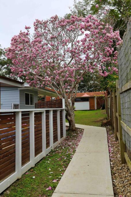 Magnolia Cottage Coffs Harbour Kültér fotó